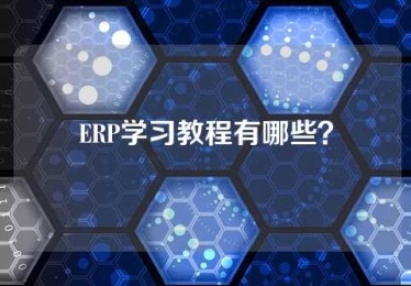 ERP学习教程有哪些？