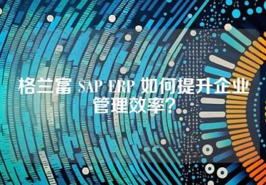 格兰富 SAP ERP 如何提升企业管理效率？