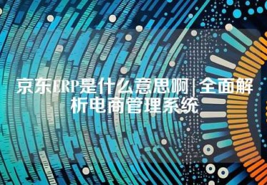 京东ERP是什么意思啊|全面解析电商管理系统