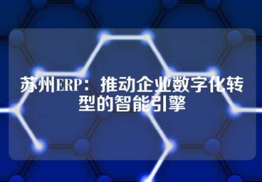 苏州ERP：推动企业数字化转型的智能引擎
