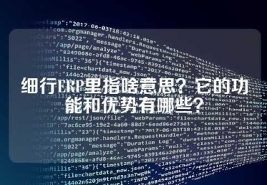 细行ERP里指啥意思？它的功能和优势有哪些？