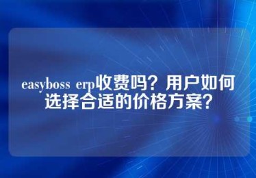 easyboss erp收费吗？用户如何选择合适的价格方案？
