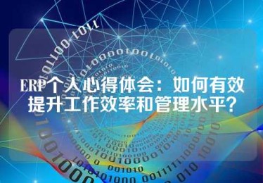 ERP个人心得体会：如何有效提升工作效率和管理水平？