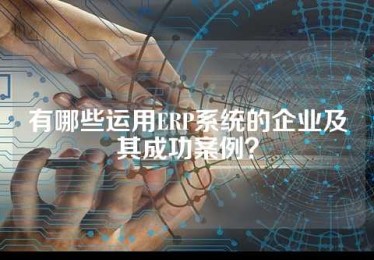 有哪些运用ERP系统的企业及其成功案例？