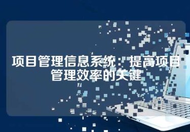 项目管理信息系统：提高项目管理效率的关键