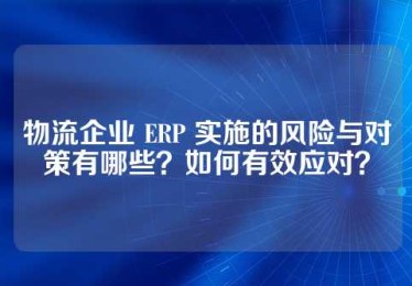 物流企业 ERP 实施的风险与对策有哪些？如何有效应对？