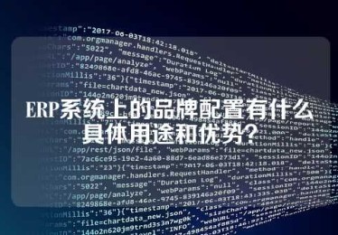 ERP系统上的品牌配置有什么具体用途和优势？