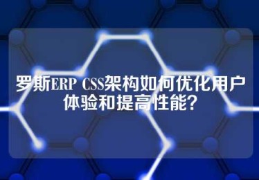 罗斯ERP CSS架构如何优化用户体验和提高性能？