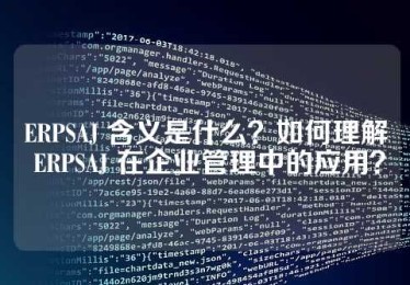 ERPSAJ 含义是什么？如何理解 ERPSAJ 在企业管理中的应用？