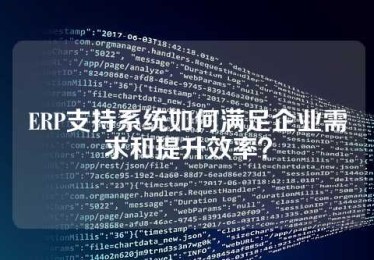 ERP支持系统如何满足企业需求和提升效率？