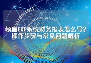 领星ERP系统财务报表怎么导？操作步骤与常见问题解析