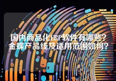 国内商品化ERP软件有哪些？金蝶产品线及适用范围如何？