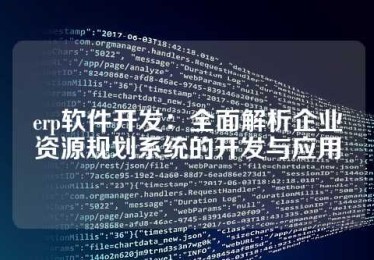 erp软件开发：全面解析企业资源规划系统的开发与应用