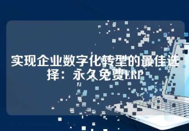 实现企业数字化转型的最佳选择：永久免费ERP