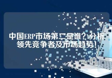 中国ERP市场第二是谁？分析领先竞争者及市场趋势！