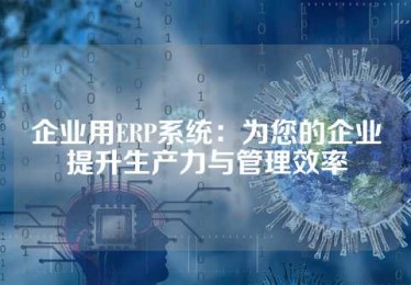 企业用ERP系统：为您的企业提升生产力与管理效率