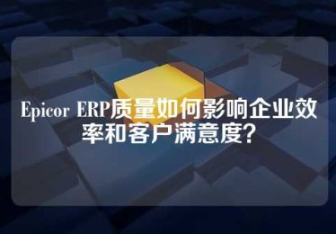 Epicor ERP质量如何影响企业效率和客户满意度？