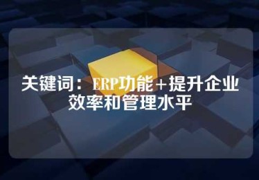 关键词：ERP功能+提升企业效率和管理水平