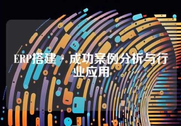 ERP搭建·成功案例分析与行业应用