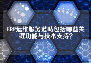 ERP运维服务范畴包括哪些关键功能与技术支持？