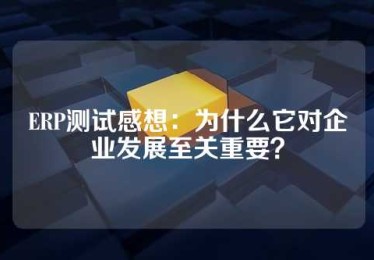 ERP测试感想：为什么它对企业发展至关重要？