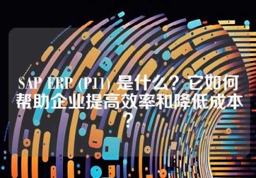 SAP ERP (P11) 是什么？它如何帮助企业提高效率和降低成本？
