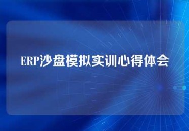 ERP沙盘模拟实训心得体会
