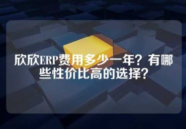 欣欣ERP费用多少一年？有哪些性价比高的选择？