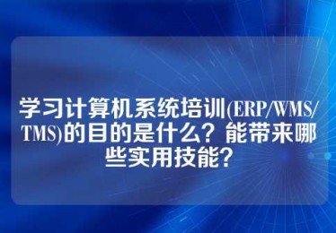 学习计算机系统培训(ERP/WMS/TMS)的目的是什么？能带来哪些实用技能？