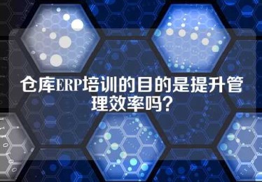 仓库ERP培训的目的是提升管理效率吗？
