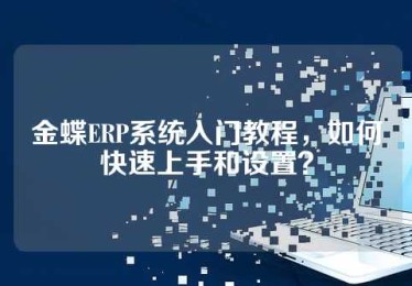 金蝶ERP系统入门教程，如何快速上手和设置？