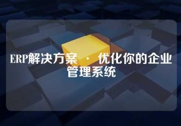 ERP解决方案 · 优化你的企业管理系统