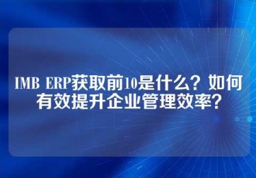 IMB ERP获取前10是什么？如何有效提升企业管理效率？