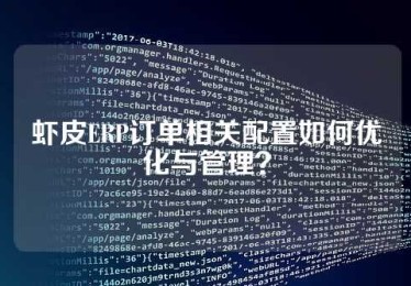 虾皮ERP订单相关配置如何优化与管理？