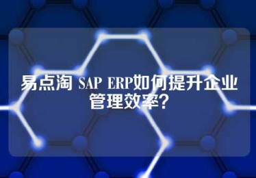 易点淘 SAP ERP如何提升企业管理效率？