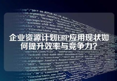 企业资源计划ERP应用现状如何提升效率与竞争力？