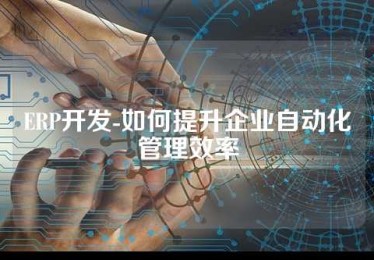 ERP开发-如何提升企业自动化管理效率