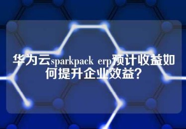 华为云sparkpack erp预计收益如何提升企业效益？