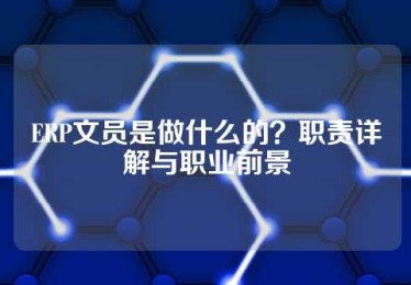 ERP文员是做什么的？职责详解与职业前景