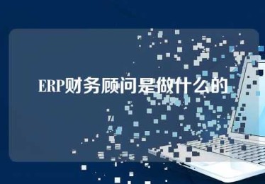 ERP财务顾问是做什么的