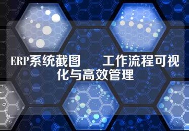 ERP系统截图 • 工作流程可视化与高效管理