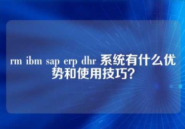 rm ibm sap erp dhr 系统有什么优势和使用技巧？