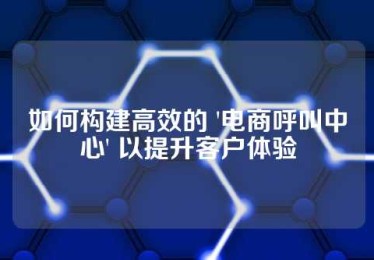 如何构建高效的 '电商呼叫中心' 以提升客户体验