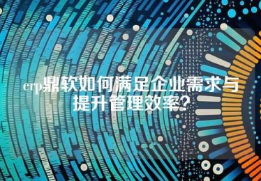 erp鼎软如何满足企业需求与提升管理效率？