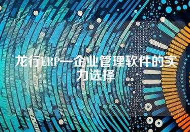 龙行ERP—企业管理软件的实力选择
