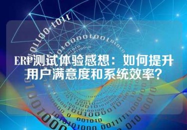 ERP测试体验感想：如何提升用户满意度和系统效率？