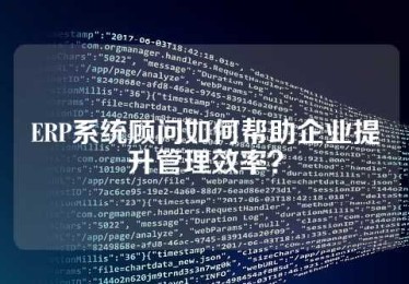 ERP系统顾问如何帮助企业提升管理效率？