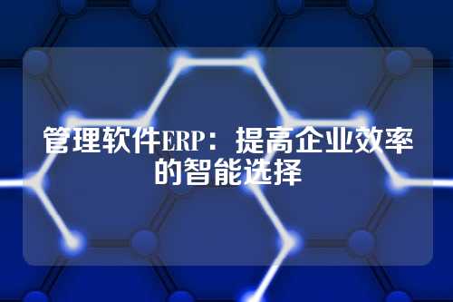 管理软件ERP：提高企业效率的智能选择