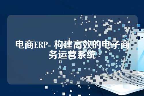 电商ERP- 构建高效的电子商务运营系统