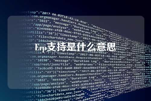Erp支持是什么意思